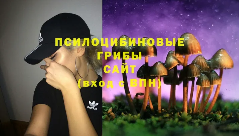 Псилоцибиновые грибы Cubensis  как найти закладки  Сафоново 